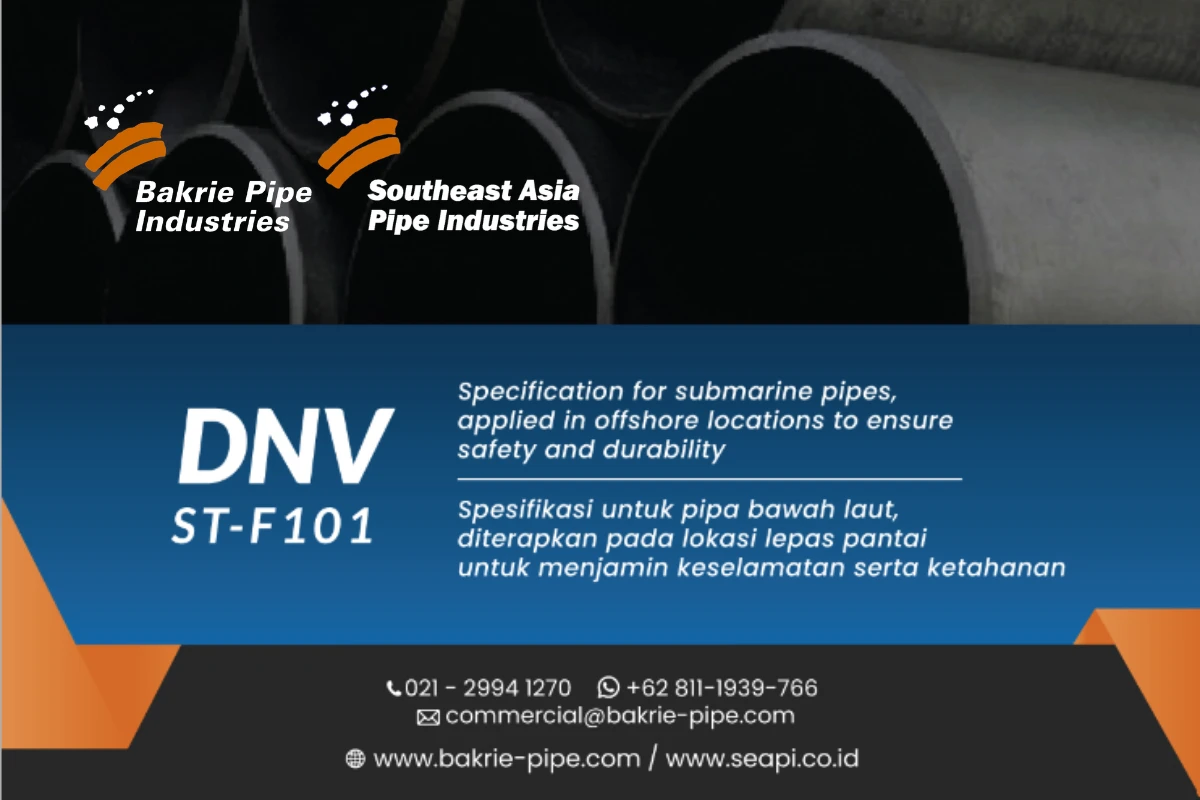 DNV ST-F101 image