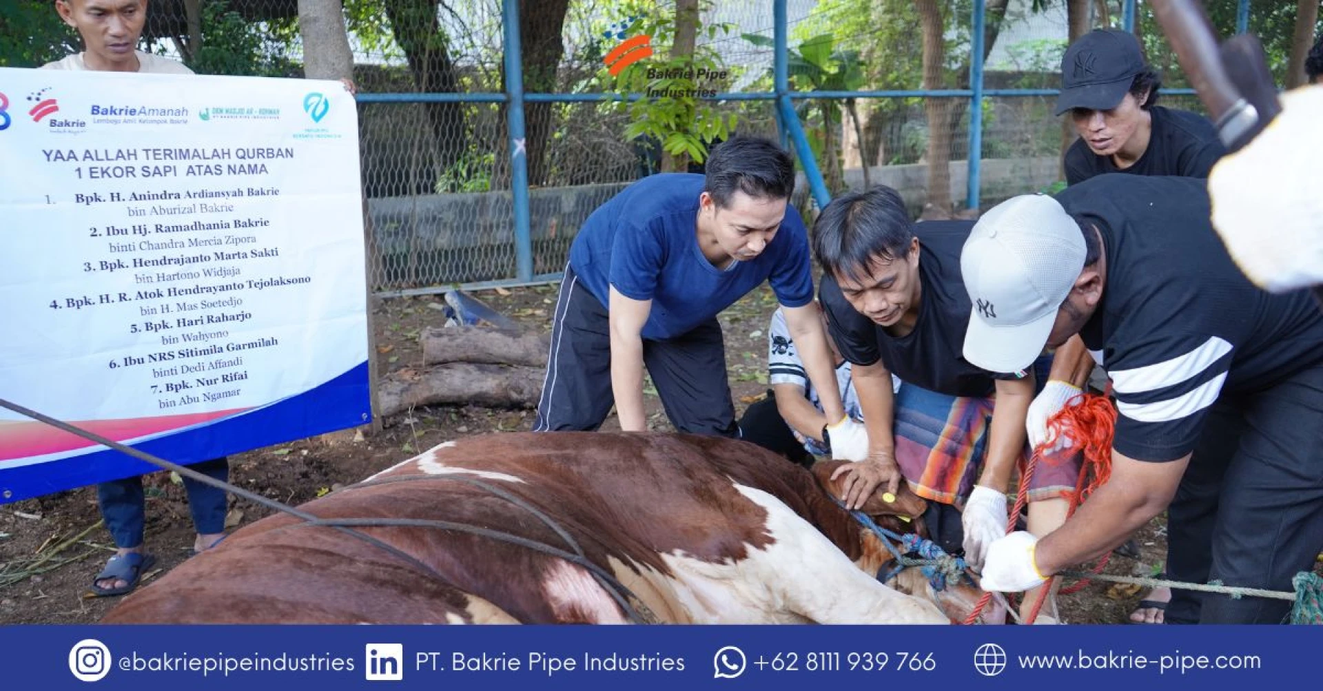 Rayakan Idul Adha 1445 H, BPI Salurkan Hewan Kurban untuk Masyarakat