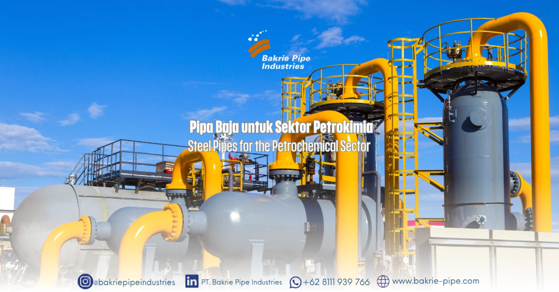 Steel Pipes for the Petrochemical Sector