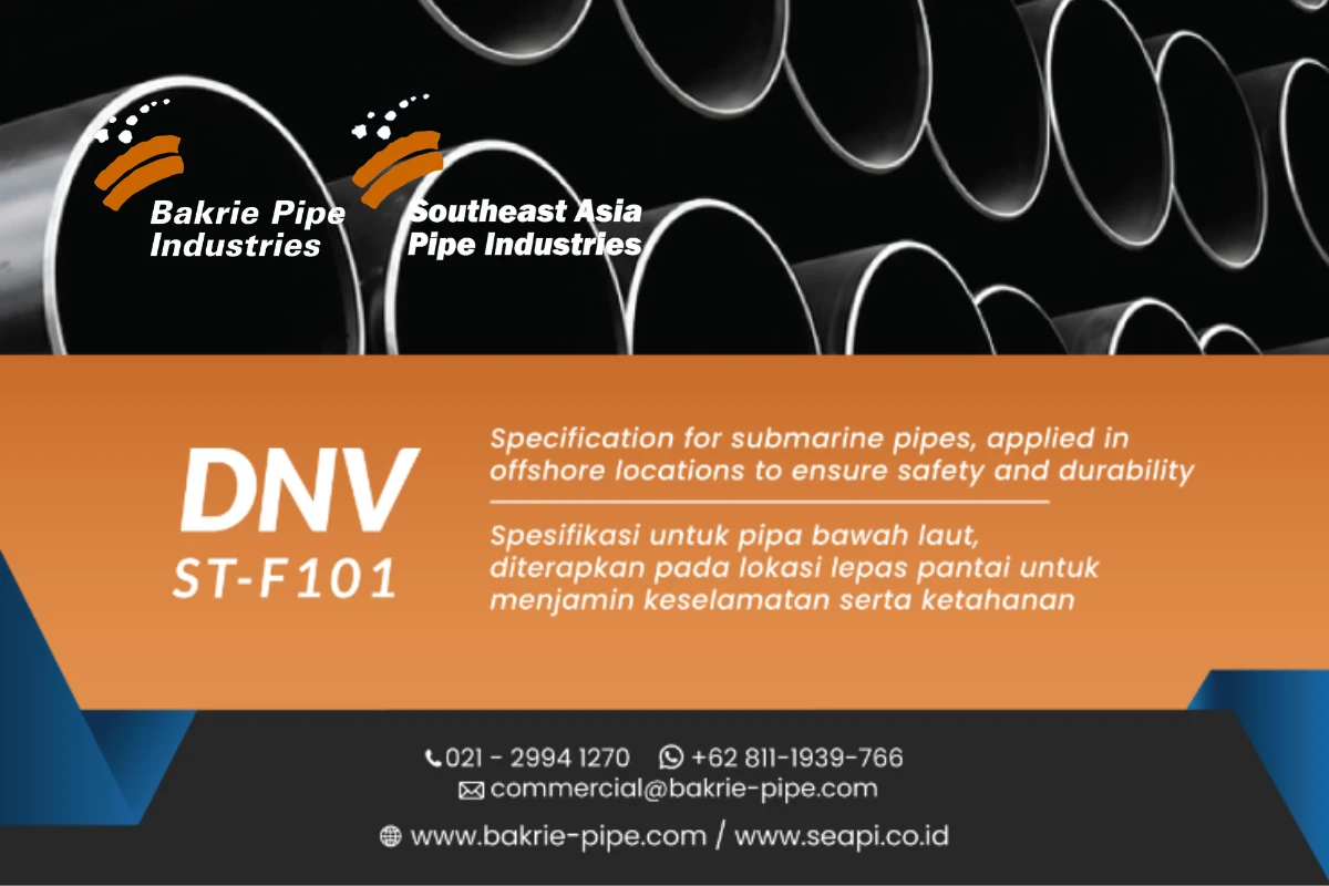 DNV ST-F101
